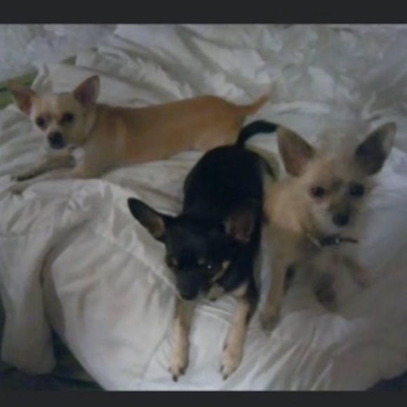 LIKE THIS LISTING TO BE NOTIFIED WHEN I GO LIVE W/AWESOME GOLD &PLAT JEWELRY 💕 - Picture 7 of 8